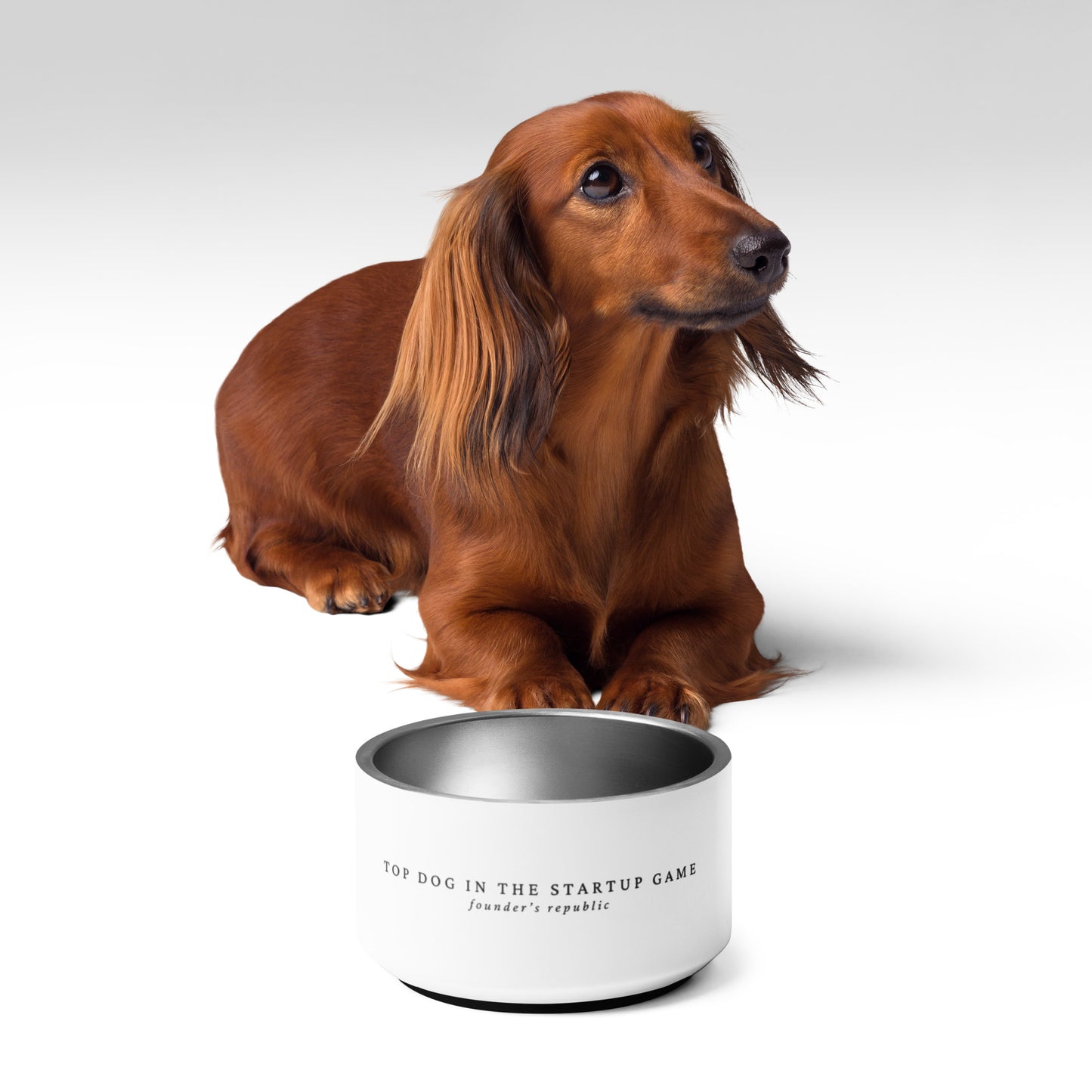 Top Dog Pet bowl