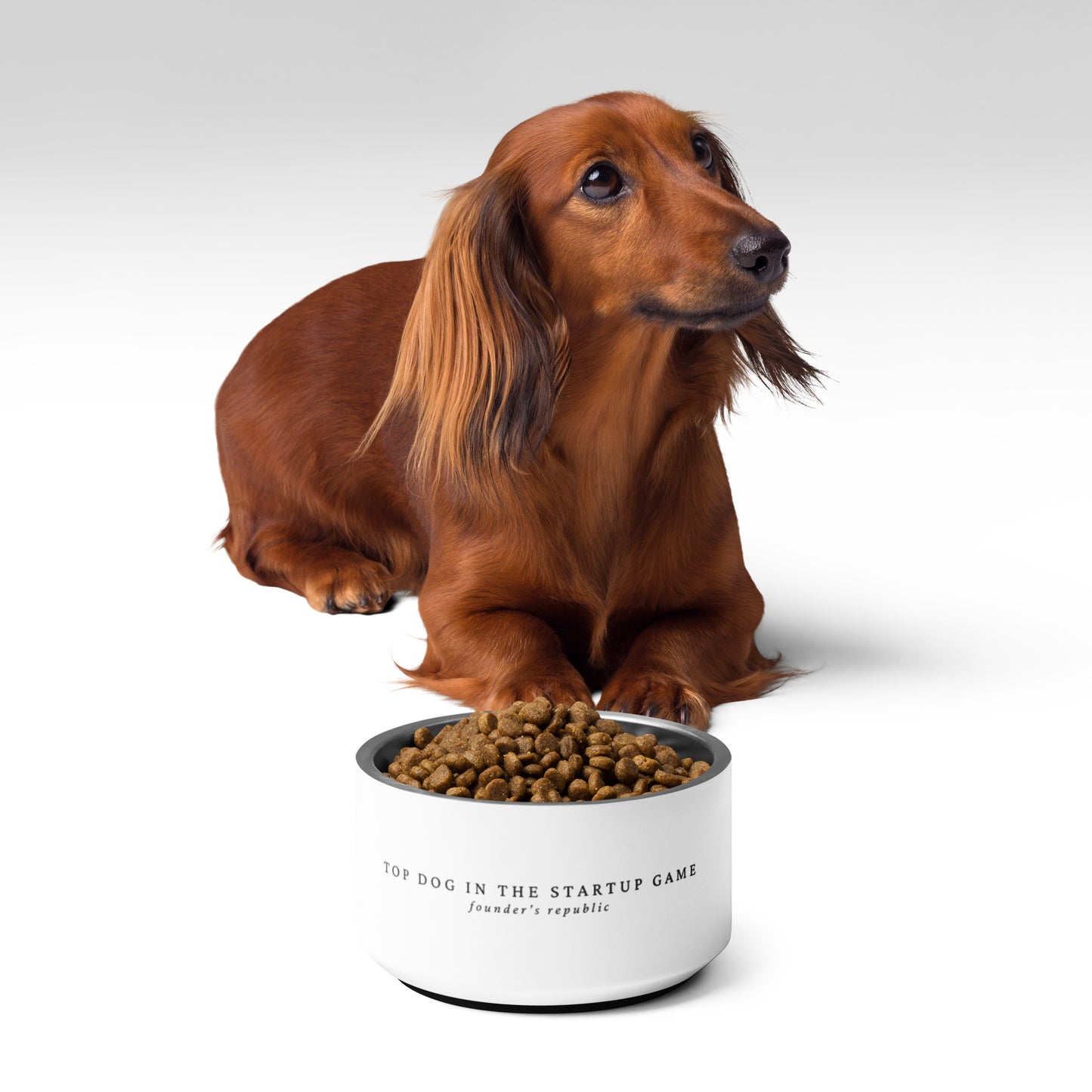 Top Dog Pet bowl