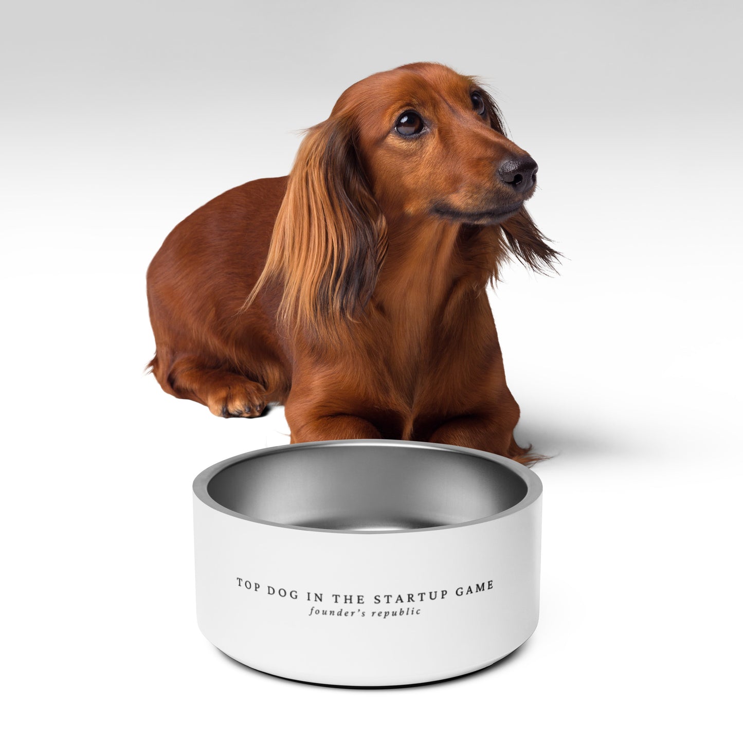 Top Dog Pet bowl