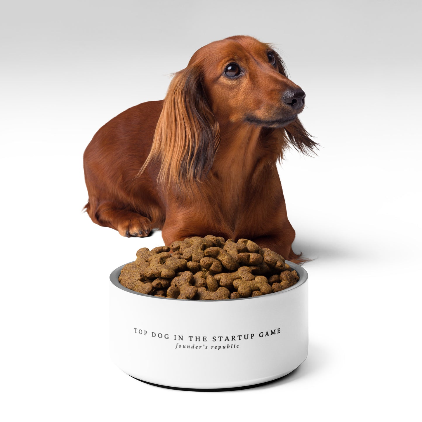 Top Dog Pet bowl